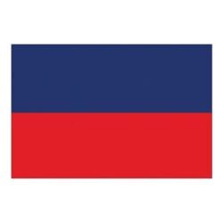 Flag International Code Signal E (30 x 45cm)