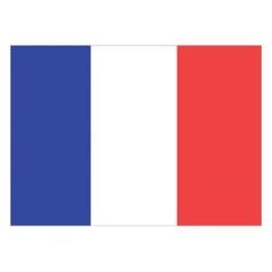 Flag France (30 x 45cm)