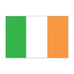 Flag Ireland (30 x 45cm)